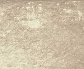 Подступенник Paradyz Scandiano Beige Podstopnica 30х14,8