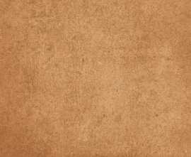 Подступенник Gresmanc Loseta Gobi 310x150x14