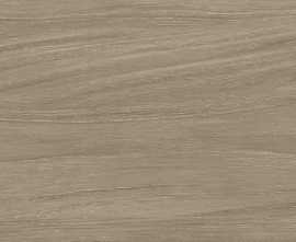 Керамогранит Delacora GP2090MOU21R Mountain Marron матовый 200x900