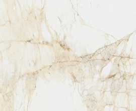 Керамогранит Coliseumgres 610010005765 Canova White Ret 60x120