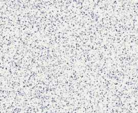 Керамогранит Marazzi Italy MMZY Frammento Macro Azzurro R10 RT 120x120