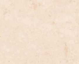 Керамогранит Absolut Gres AB 1081M Saffron Crema matt 600x600