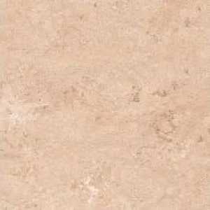 Керамогранит Absolut Gres AB 1080M Saffron Brown matt 600x600