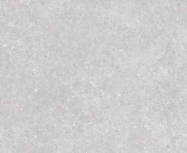 Керамогранит Novin Ceram Yazd Tile Co SE9544M50 Lasko Light Gray Semi Polish Rect 60х120