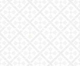 Керамогранит Monopole Guadalupe White 18,7x18,7