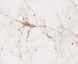 Керамогранит LV Granito Sonata White Glossy 60х120