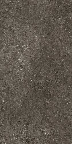 Керамогранит Casa Dolce Casa 768625 Sensi Brown Fossil Nat Ret 6mm 60x120