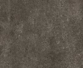 Керамогранит Casa Dolce Casa 768585 Sensi Brown Fossil Nat Ret 6mm 120x240