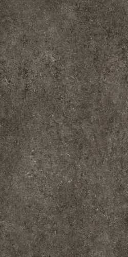 Керамогранит Casa Dolce Casa 768327 Sensi Brown Fossil Ret 60x120