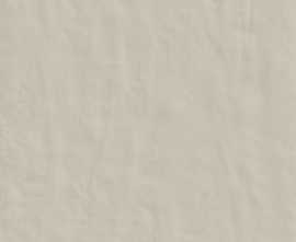 Керамогранит Casa Dolce Casa 748495 Neutra 6.0 03 Perla Ret 6mm 120x120