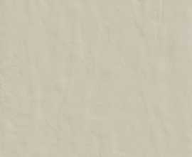 Керамогранит Casa Dolce Casa 748494 Neutra 6.0 02 Polvere Ret 6mm 120x120