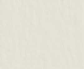 Керамогранит Casa Dolce Casa 748493 Neutra 6.0 01 Bianco Ret 6mm 120x120