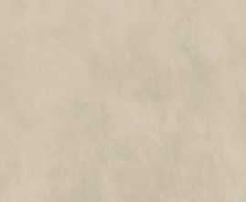 Керамогранит Casa Dolce Casa 778890 Essential Mood Warm Powder 02 6mm 120x120