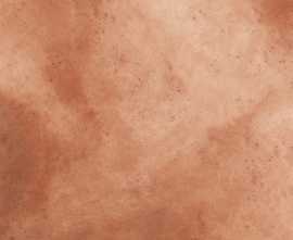 Керамогранит Porcelanite Dos Montana 1869 Terracota Rect 100x100