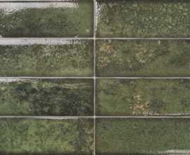 Керамогранит El Molino Dream Green 30x60
