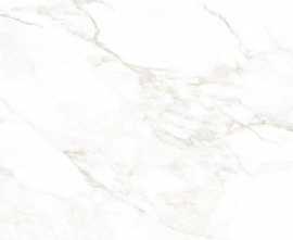 Керамогранит NT Ceramic NTT99526M Marble Extra Endless 60x120