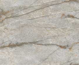 Керамогранит NT Ceramic NTT99517M Forest Carving 60x120