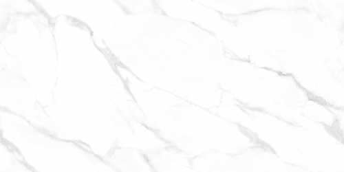 Керамогранит NT Ceramic NTT99506P Statuario Endless 60x120