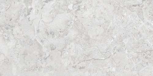 Керамогранит Infinity Ceramica Elegance Grey Glossy Silver Line 60x120
