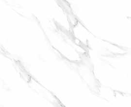 Керамогранит Infinity Ceramica Cortina Florida Ice Bianco Carving 60x120