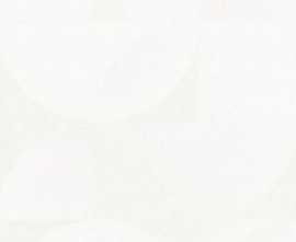 Декор Infinity Ceramica Opera Decor White Carving 60x120
