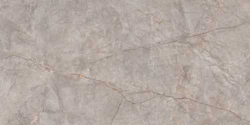 Керамогранит Neodom N20553 Silver River Carving 60x120