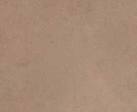 Керамогранит Cerim 781064 Easy Life Barley Matte Silk Ret 120x120