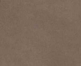 Керамогранит Cerim 781058 Easy Life Mushroom Matte Ret 120x120