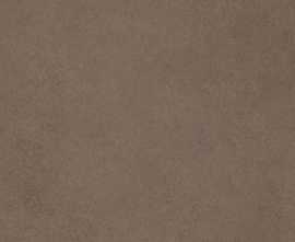 Керамогранит Cerim 780811 Easy Life Mushroom Matte Silk Ret 60x120