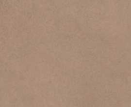 Керамогранит Cerim 780817 Easy Life Barley Matte Ret 60x60