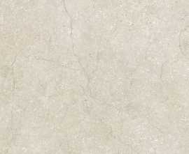 Керамогранит Cerim 779270 Stone Life Shell Matte Ret 6mm 60x120