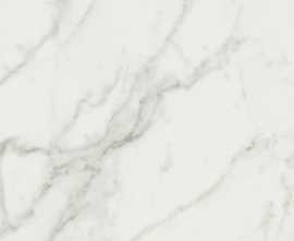 Керамогранит Cerim 760035 Exalt Magic White Nat Ret 60x120