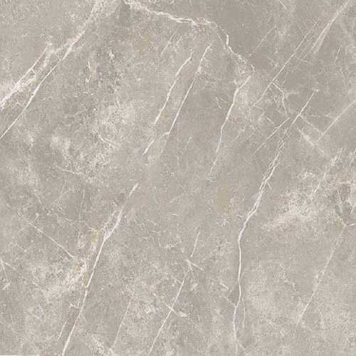 Керамогранит Cerim 766956 Elemental Grey Dolomia Luc Ret 60x60
