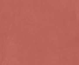 Керамогранит Cedit 760353 Rilievi Terra Ret 6mm 120x240
