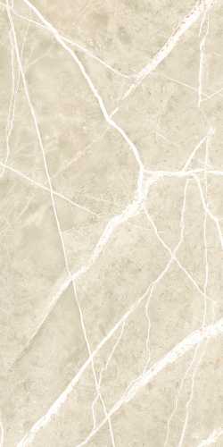 Керамогранит NT Ceramic NTT99619PC Granite Wisdom Stone Punch Carving 60x120