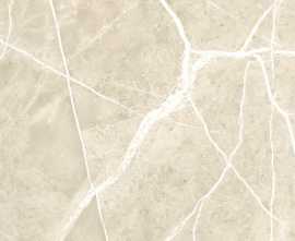 Керамогранит NT Ceramic NTT99619PC Granite Wisdom Stone Punch Carving 60x120