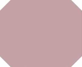 Керамогранит Топ Рус ОКТ-30 9 9.6x9.6