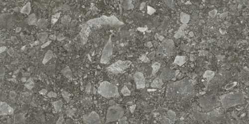 Керамогранит Avroria AS22-13 Mappa Marble серый карвинг 120х60