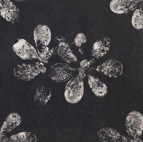 Керамогранит Mutina GAC25 Chymia Ophelia Black 30x30