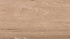 Керамогранит Buono Ceramica F4501M Forest Nature Decaff Matt 20x120