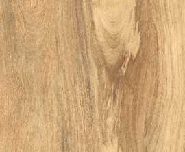Керамогранит Gresant Taiga Light Matt Carving 60х120