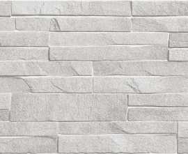 Плитка Alma Ceramica TWU2550DCV14 Discover рельефная 249x500x8