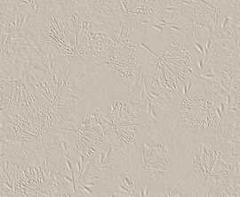 Плитка FAP Ceramiche fTD1 True Color Wind Fossil Matt RT 50x120