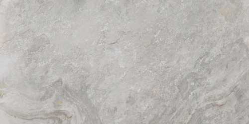 Керамогранит Porcelanosa 100202669 Image Silver 59.6x120