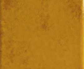 Плитка Ape A041642 Genuine Amber 10x10