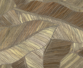 Декор Argenta Studio Litter Decor 60x120