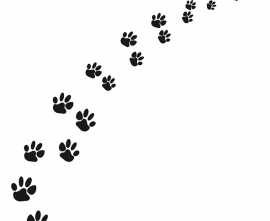 Артвалентто Декор Black cat 3 10х10