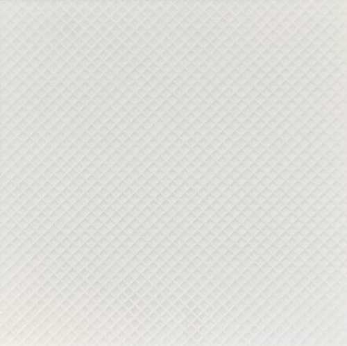 Плитка Tao Ceramics 006396 Белый антислип 244x244