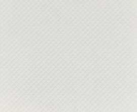 Плитка Tao Ceramics 006396 Белый антислип 244x244