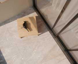 Керамогранит Intera Crema Arcadia Ceramica